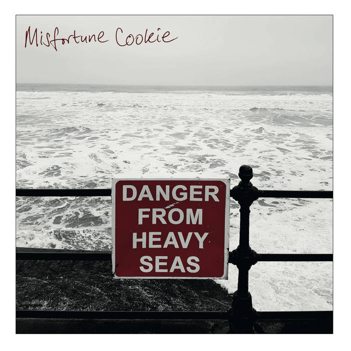 Misfortune Cookie - Heavy Seas - LP (2019)